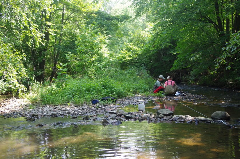 Two scientists working stream side
