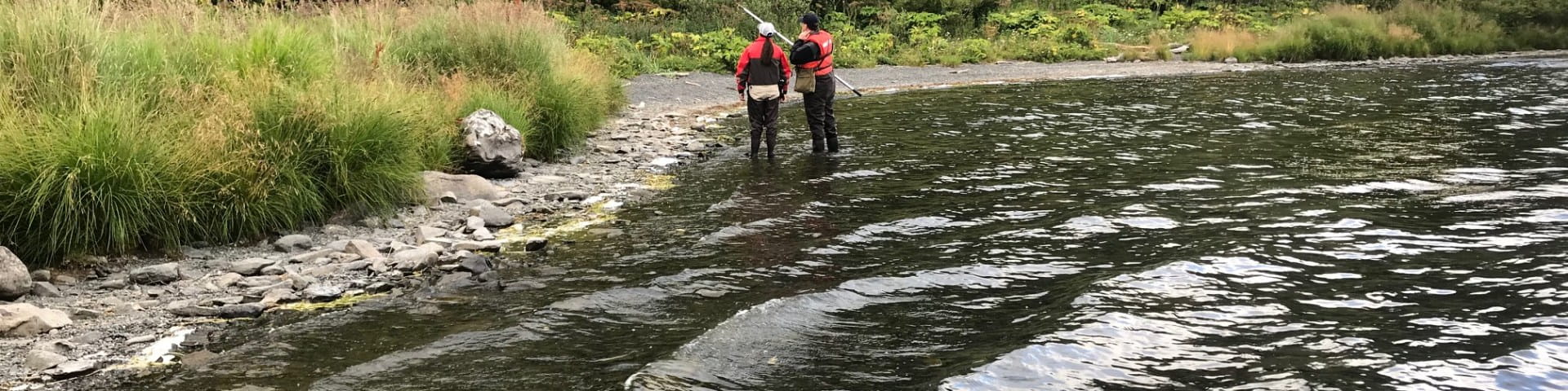 Female scientists wade at Lake's edge