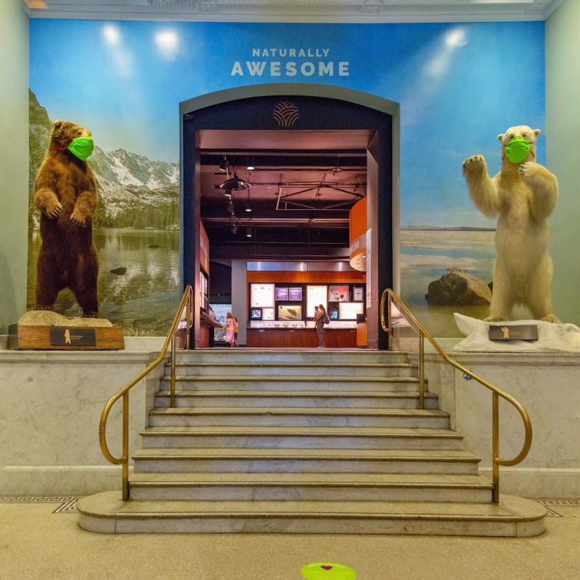 Marble stairs in the Academy Lobby with brown and white taxidermy bears at the top, both wearing neon green masks.