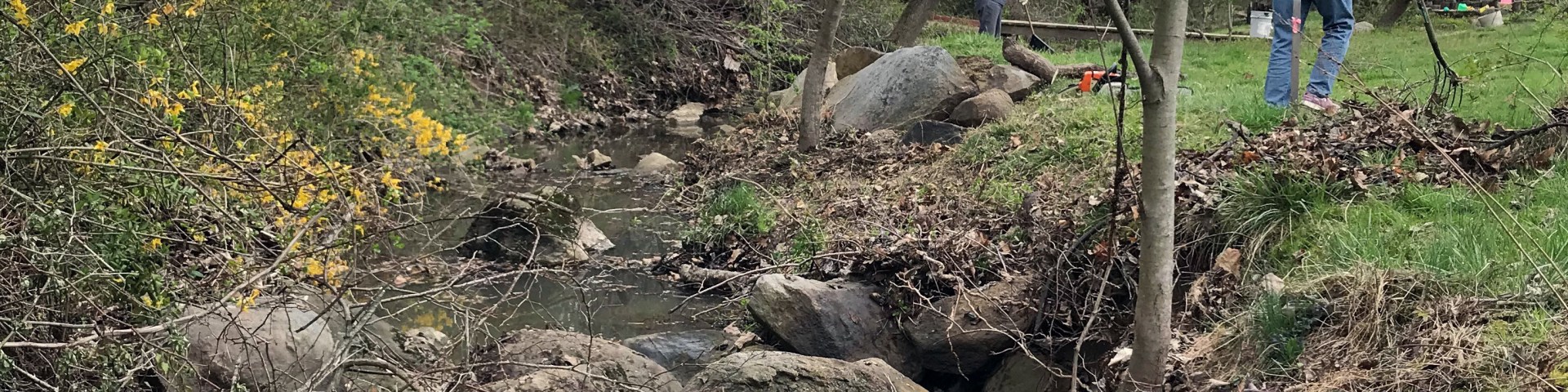 stream