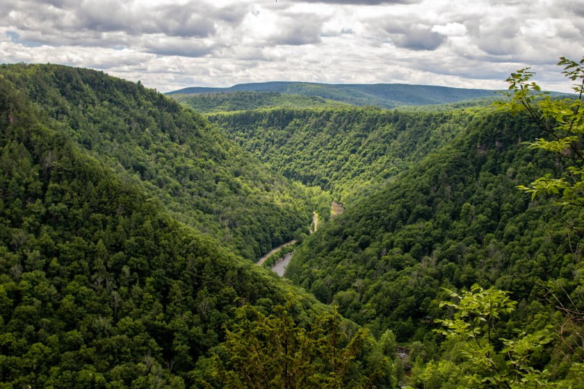 vista looking out over green trees and deep river gorge