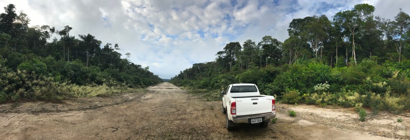 white truck on dirt path near forest