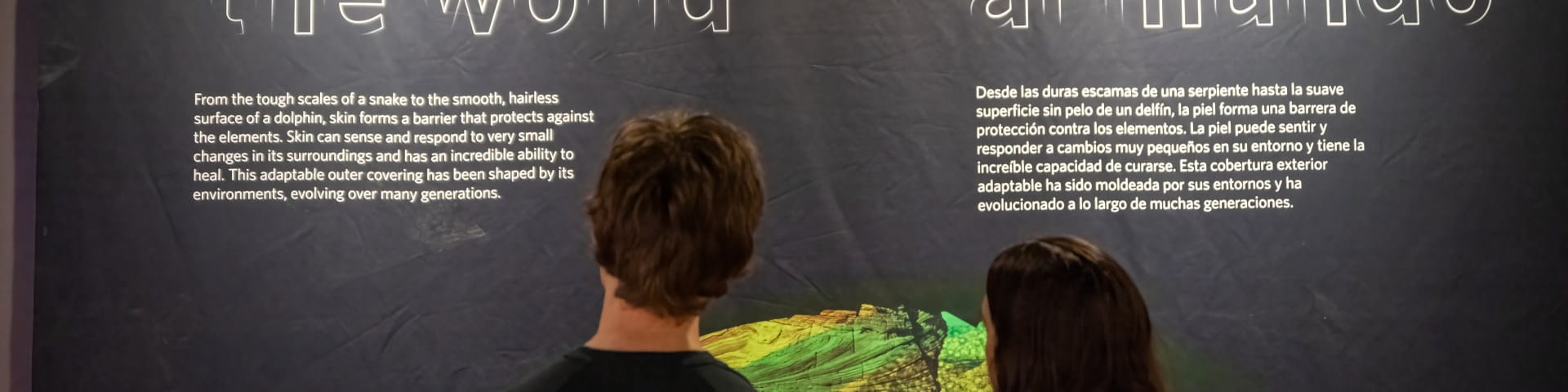 two people reading a museum sign
