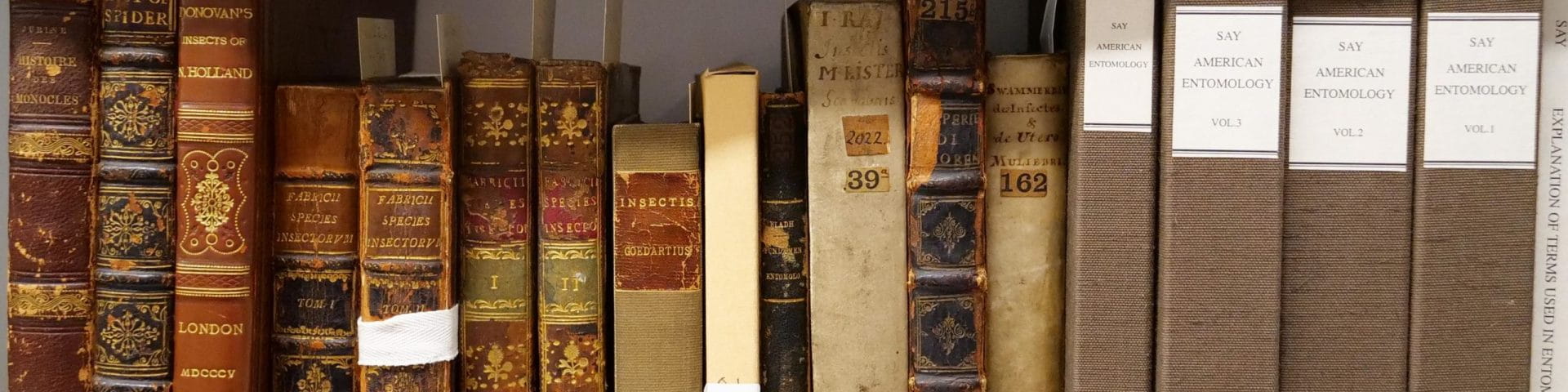 old books on a shelf