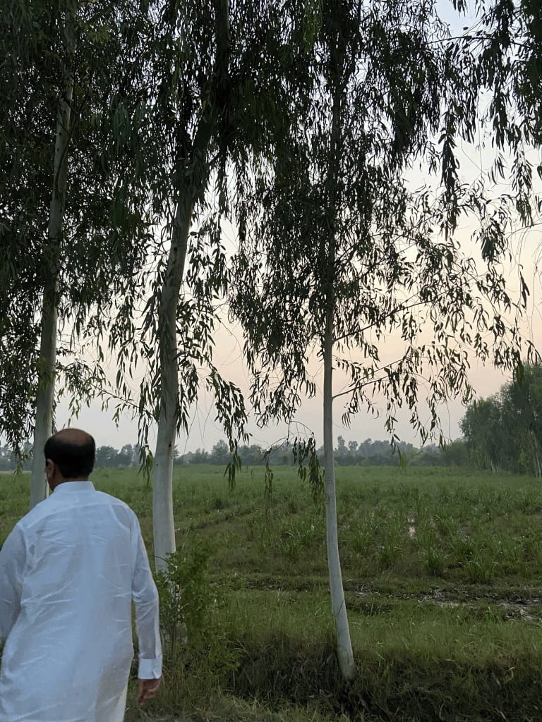 agricultural land