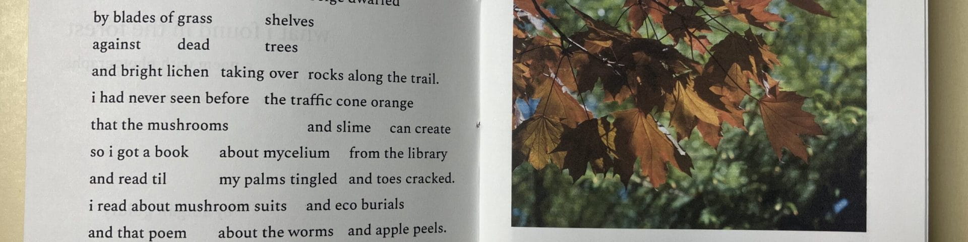 open zine with image and text