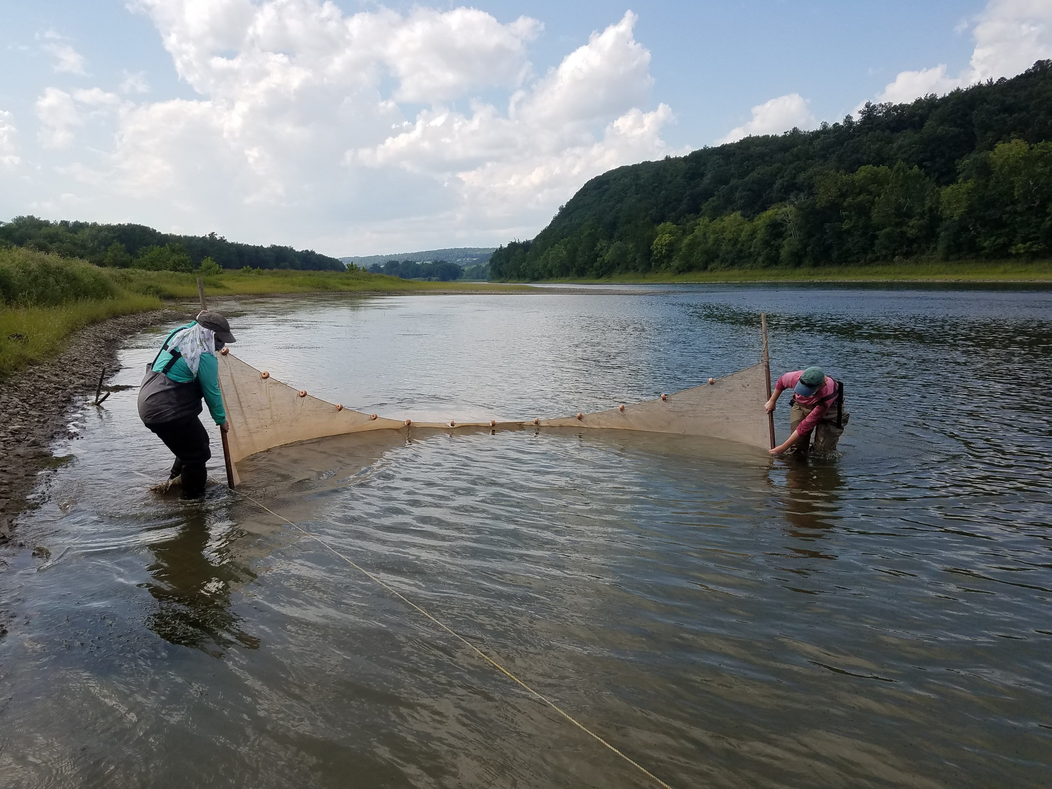 two scientists hold fishing net in stream