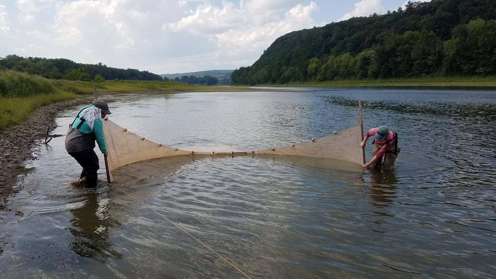 two scientists hold fishing net in stream