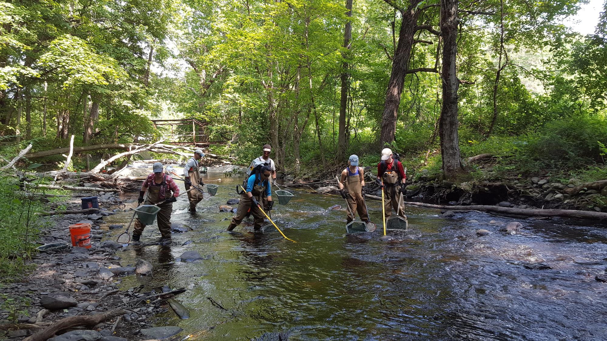 Six scientists walking in stream with fishing gear