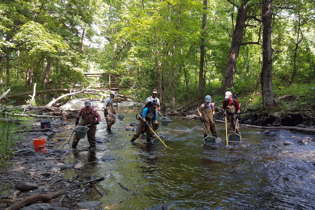 Six scientists walking in stream with fishing gear
