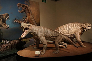 Two Permian Reptiles