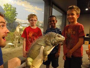 live animal show featuring a green iguana