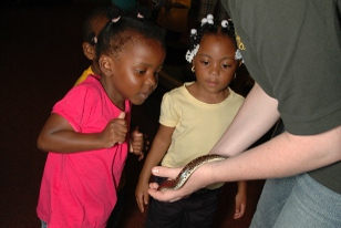 Public School Students Learn about live animals