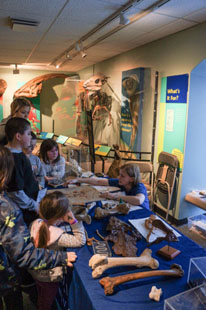 Visitors inspect fossils at Paleopalooza. 