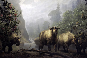 takin diorama