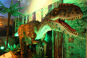 neovenator