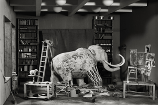 unnaturalhistory308x206