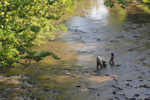 3 researchers in creek