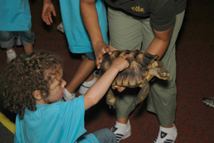 Child with tortoise