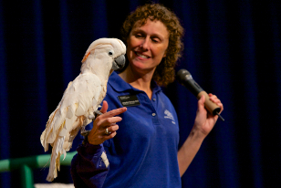 educator with cockatoo