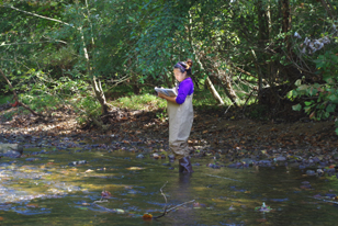 woman with notebook in stream