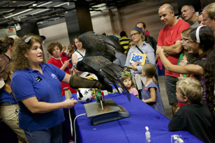 educator with vulture