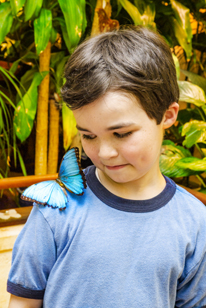boy with butterfly