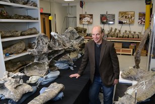 ken lacovara and dreadnoughtus