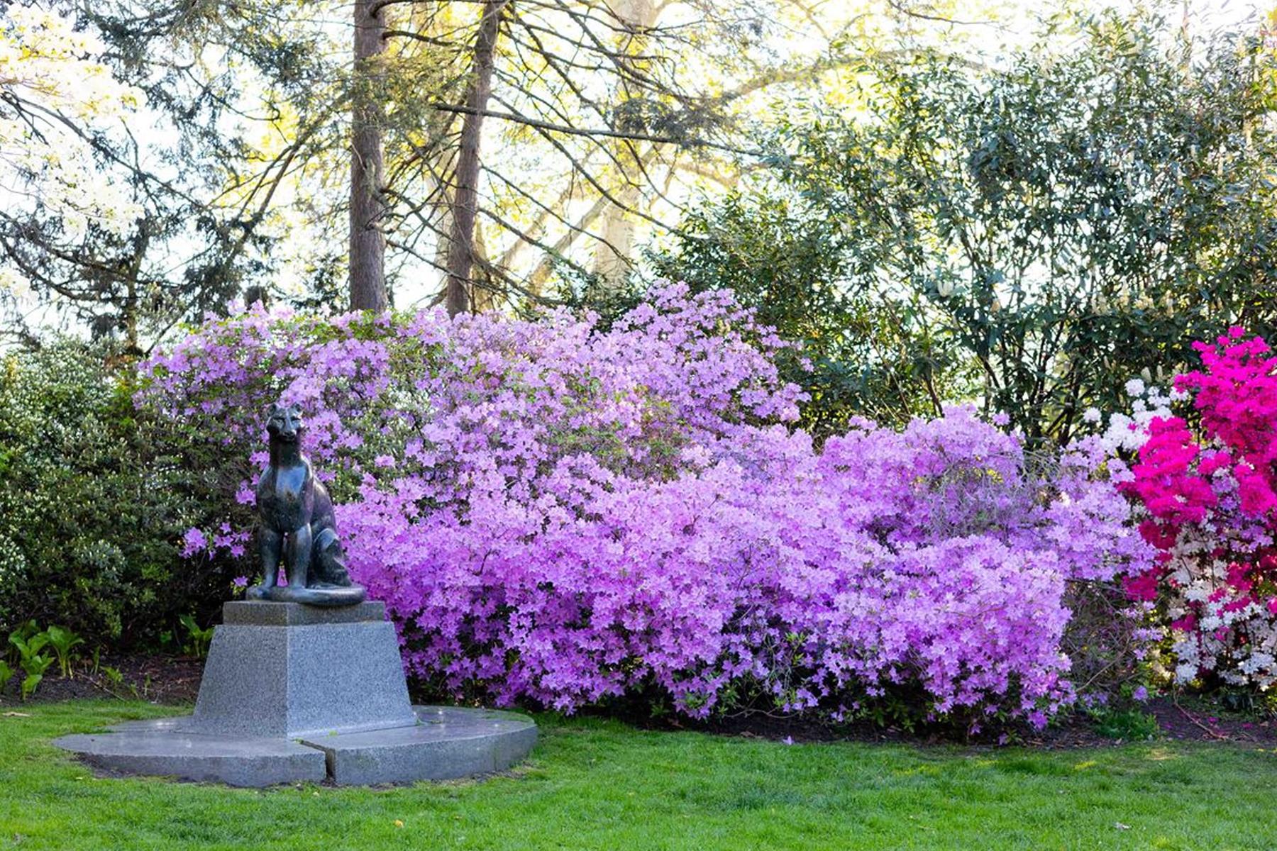azalea-garden-testing