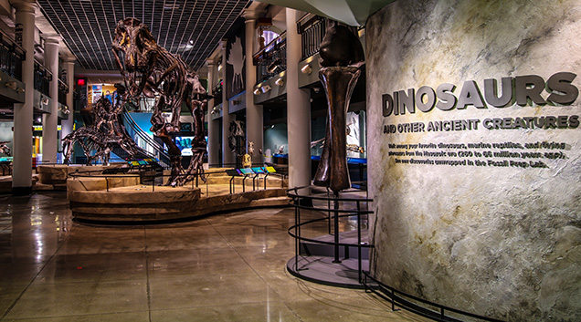 entrance to the famous Dinosaur Hall