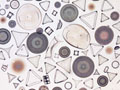 diatoms arrangement