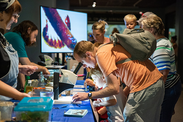 An adult looks through a microscope while a child looks at specimens on a table.
