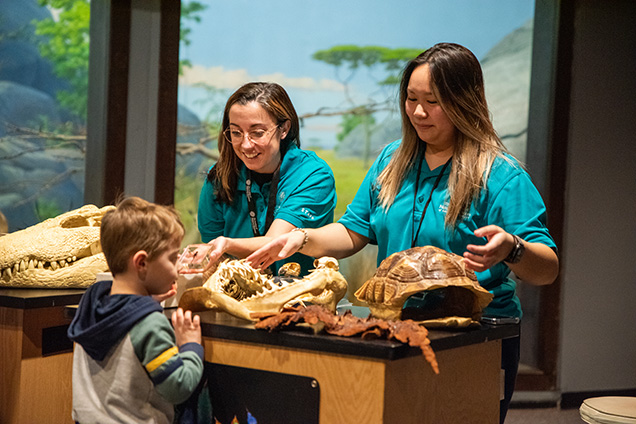 Two academy staff show specimens to a child.