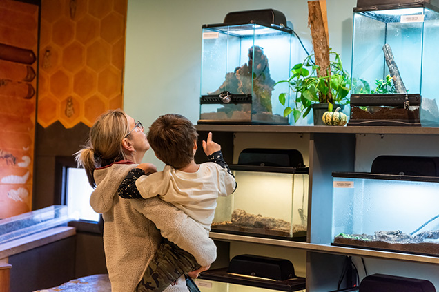 An adult holding a child to show them insects in a tank.