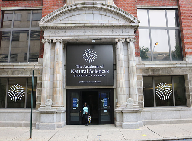 Academy Building - The Academy Of Natural Sciences Of Drexel University