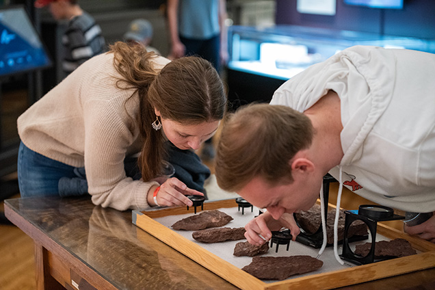 Two adults take a closer look at fossils.