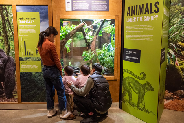 A group of people looking at a display with animals.