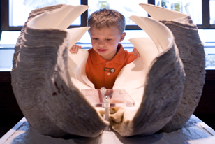 boy with giant clam shell
