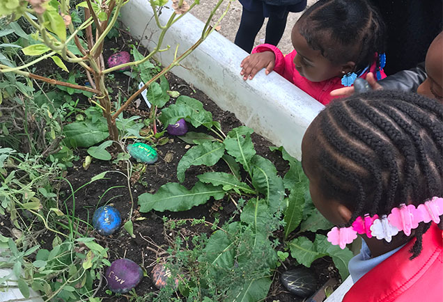Preschool students explore the children’s garden planted inside a repurposed bathtub at the Sloan St Community Garden