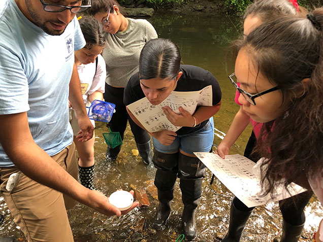 WINS students examine the health of a local creek with partner organization Tacony-Tookany-Frankford Creek Initiative.