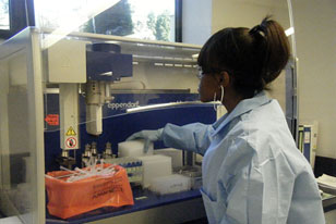 WINS II lady working as an intern in the USDA laboratory