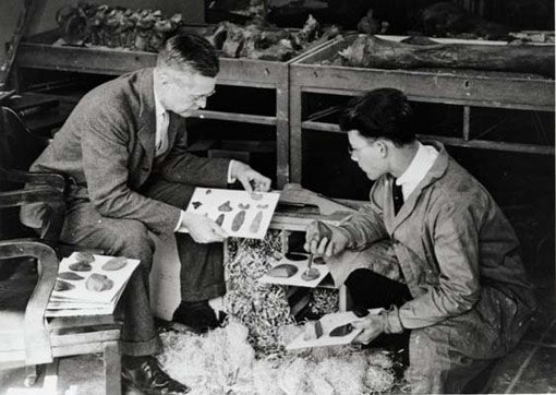 photo of archaeologists examining artifacts