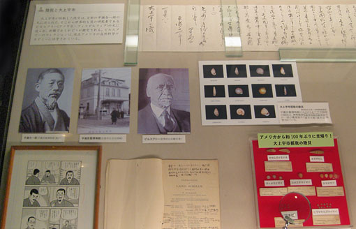 photo of malacology exhibit in Japan