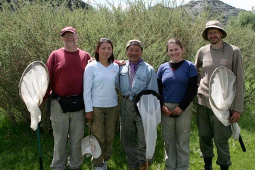 photo of entomologists in Mongolia