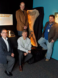 Jason Poole, Kenneth Lacovara, Ted Daeschler and James Tangorra next to a cast humerous of Paralititian