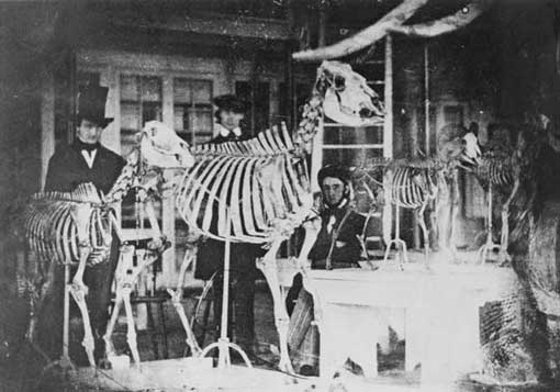 photo daguerrotype showing the inside of a museum