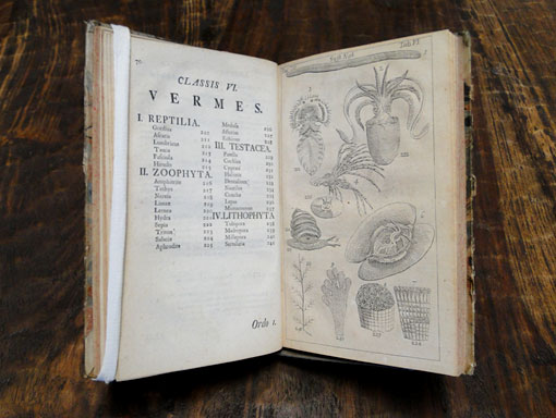 Systema Naturae, 1748 edition, opened to Vermes