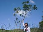 botanist stands next to a treelet in Ecuador