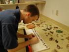 Academy staffer preparing live butterfly pupae for the pupation chamber