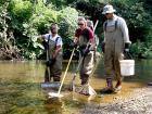 photo of electrofishing in a stream